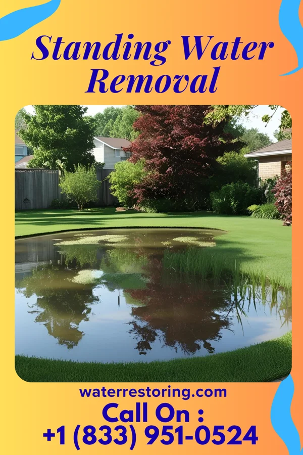 Standing Water Removal in Jetmore, KS